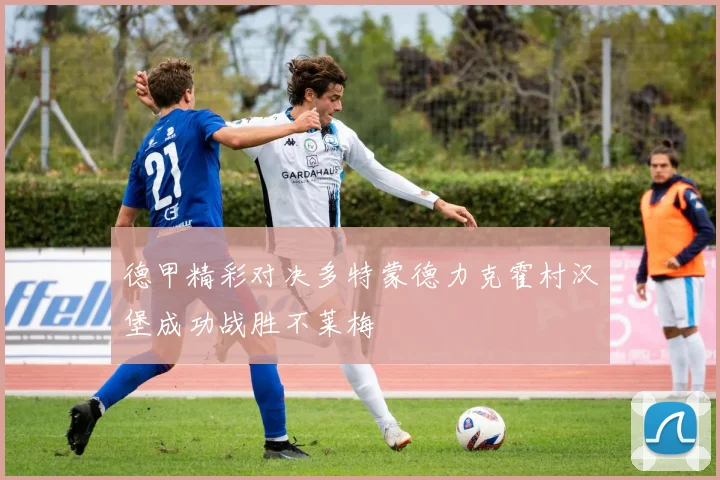 德甲精彩对决多特蒙德力克霍村汉堡成功战胜不莱梅