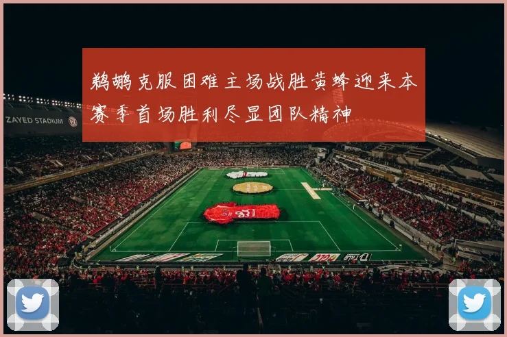 鹈鹕克服困难主场战胜黄蜂迎来本赛季首场胜利尽显团队精神