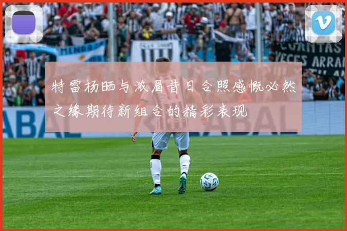 特雷杨晒与浓眉昔日合照感慨必然之缘期待新组合的精彩表现