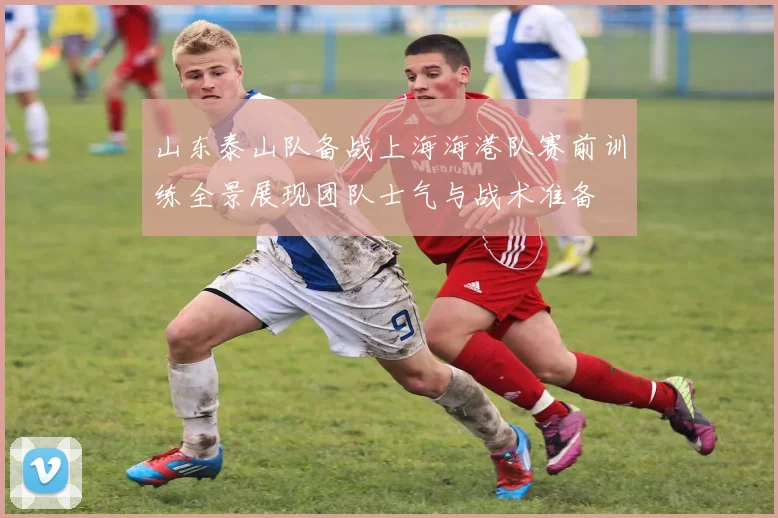 山东泰山队备战上海海港队赛前训练全景展现团队士气与战术准备