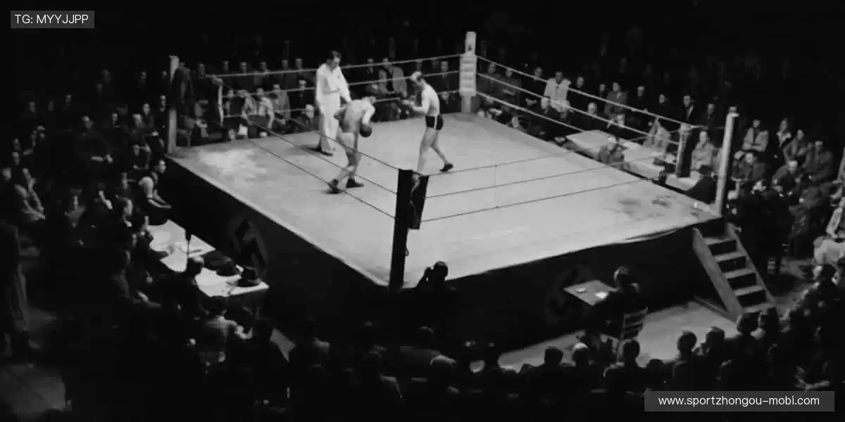 🎁 运动周边，品质之选，活力加持！